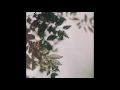 Valotihkuu - Spring and All (2017) (Full Album)