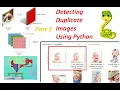 Detecting Duplicate Images In Python Part 3 AI Camp
