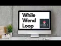 Excel VBA - While Wend Loop