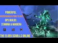 Best Necromancer DPS Pure Class Build for ESO Update 50 - Stamina and Magicka Setup