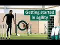 How to get started in Dog Agility Dog Tips and Tricks