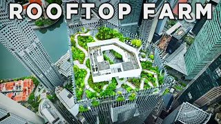How Singapore is Becoming an Edible Garden City
