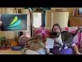 What You Need to Know BEFORE Using Care Credit at the Vet