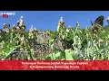 Download Lagu Terdampak Kemarau, Jumlah Kupu-kupu Euploea \u0026 Kunang-kunang Berkurang Drastis | RTI Siaran Indonesia