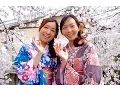Lagu Moments in Kyoto - Sakura | Real Beauty Cherry Blossoms Kyoto Japan 京都の桜 着物美人と夜桜 京都観光