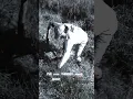 Python hunting in Florida Python challenge 2023