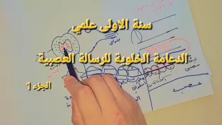 الدعامة الخلوية للرسالة العصبية الفرق بين العصب العصبون و الليف العصبي 