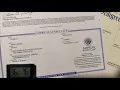 Cane Corso Breeding Pedigree Registry Papers Sire Reveal Update
