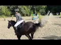Download Lagu Clear round 1.20 Ruitersportcentrum Breda 