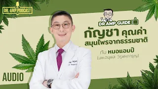 ผลข้างเคียงจากการใช้กัญชาที่มีสาร THC สูงคืออะไรบ้าง?