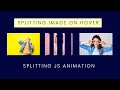 Splitting Image Animation on Hover Splitting JS Tutorial