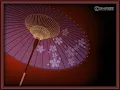 梅沢富美男「夢芝居」