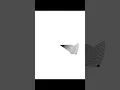 ninja design in python turtle design