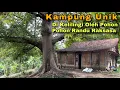 Lagu Sangat Langka..!! Masih Banyak Pohon Randu Besar Di Kampung ini, Kampung Randusari Pelosok Kendal