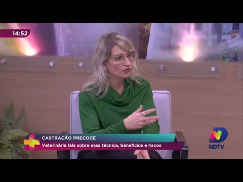 Castração precoce: veterinária fala sobre essa técnica, seus benefícios e riscos