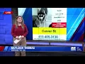 Springfield family continues search for missing husky Kendo