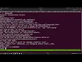 W4L2 Buffer Overflow