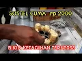 Lagu Sostel yang lagi hitz  (sosis telor) harga 2000 an