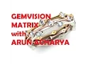 Gemvision Matrix Tutorial Day-1 Beginner level