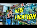 THIS Retro Game Store moved so we visited and found GOLD