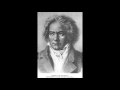 Beethoven - Symphony No. 9 in D minor: Ode to Joy
