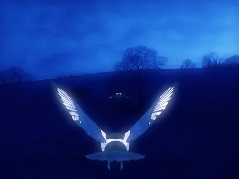 Memories of a Magpie Trailer