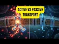 Active vs Passive Transport Mechanisms Cell Biology