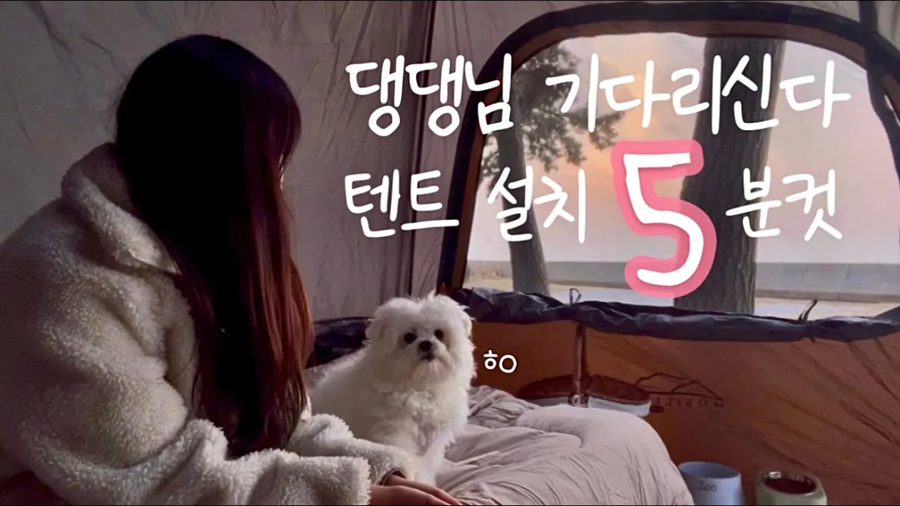 [솔로캠핑] 🚘차박텐트 피칭 5분컷, 도킹 없이 사용하기 | 애견동반캠핑 | 아이두젠 A10 max | 고창 구시포 노을캠핑장 サムネイル