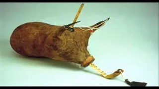                      مزود أولاد جلال  شكوة دندنها