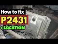 P2431 p2431 Secondary Air Injection System Circuit Range code p2431 p2431 obd2