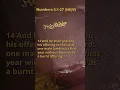 Numbers 6 1-27 NKJV