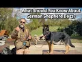 What Should People Know About German Shepherd Dogs
