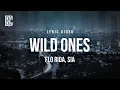 Download Lagu Flo Rida feat. Sia - Wild Ones | Lyrics
