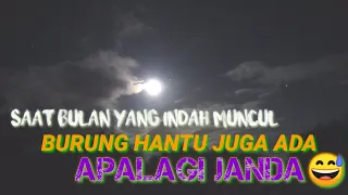  berburu burung ruak ruak malam hari