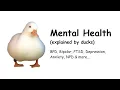 Mental Health explained by ducks