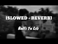 Download Lagu Balti Ya Lili [Slowed + Reverb]