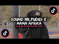 Download Lagu Dj Sound Mr.Pudidi X Mama Afrika - Slowed + Reverb🎧