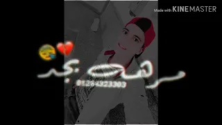 عاقل وسط مجانين        دندنها