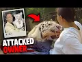 This White Tiger Attacked It s Owner In Front of Audience