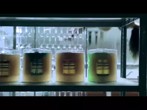 Aēsop | Morphē