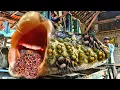 Lagu Terjebak didalam kayu jati bolong mengerikan penuh keindahan,lihat apa yang terjadi!