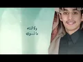 ما يسوى - محمد بن غرمان وفهد بن غرمان (حصريا) 2024