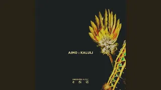 aimo kaluli original mix 