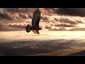 Oy, na hori ta y zhentsi zhnut — Ukrainian Folk Song in Rock Version | Epic Folk Rock Cover 2026