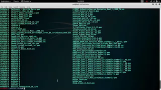 Set up a HTTPS web server with Apache