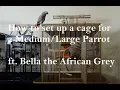 How to Set up a Parrot Cage - Medium or Large sized Birds ft Bella the African Grey