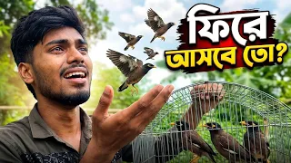 পোষা পাখিগুলোকে সব ছেড়ে দিলাম... শেষে এমন একটা কাজ করলো! 😱"