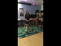 “January” - Mia Rose Lynne (Cover)