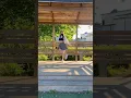 Download Lagu BLACKPINK ~ As If It's Your Last ~ Dance Cover by Jojo #blackpinkdancecover #asifitsyourlast