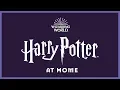 Video di Harry Potter at Home | Wizarding World